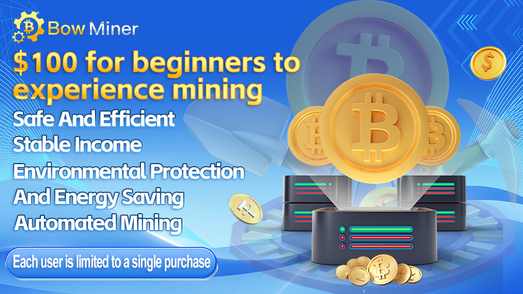 Bitcoin details at Bow Miner