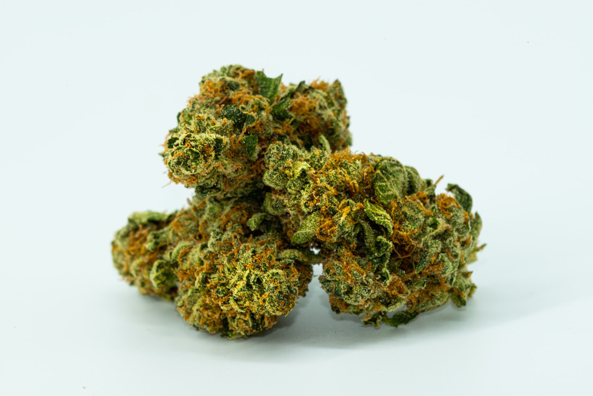 dried cannabis flower nugs