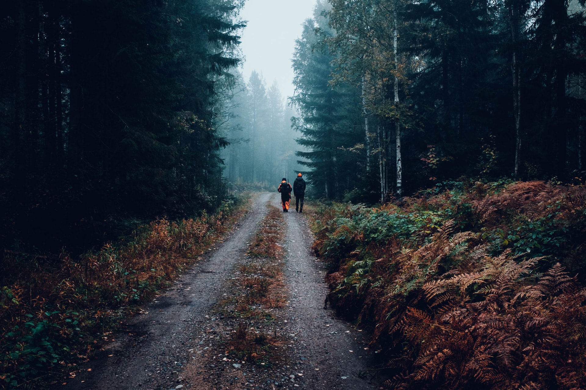 people walking in woods with guns