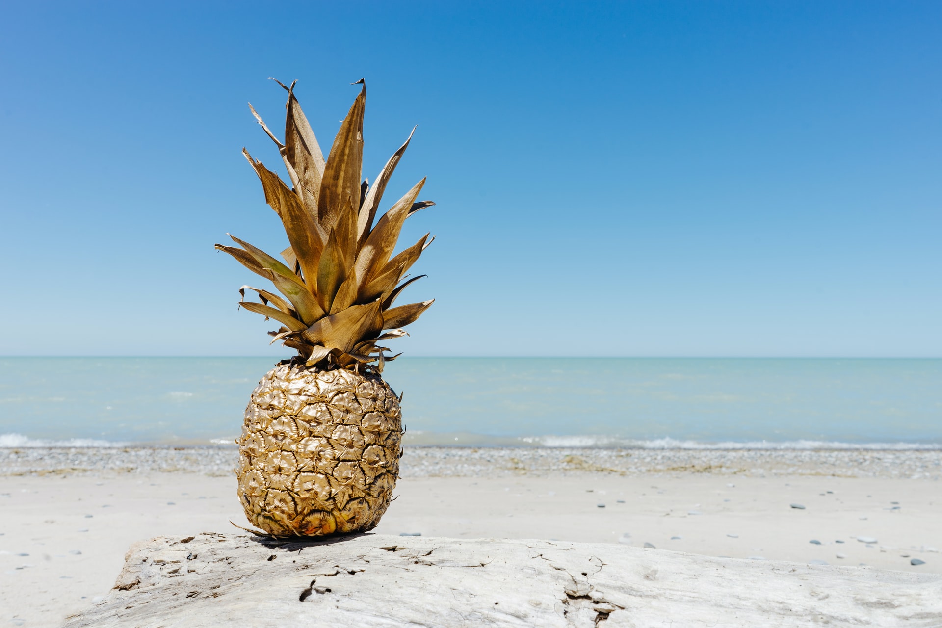 gold pineapple on beach